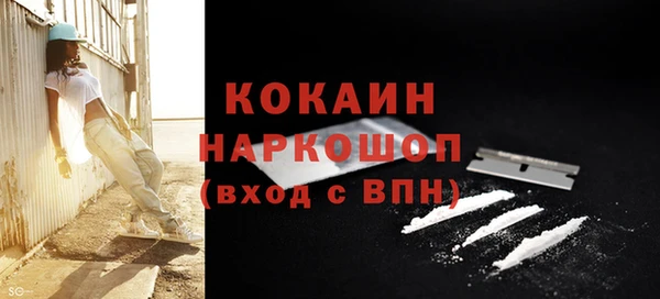 индика Куровское