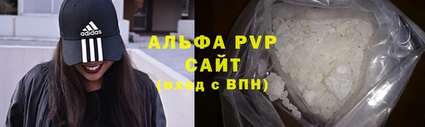 индика Куровское