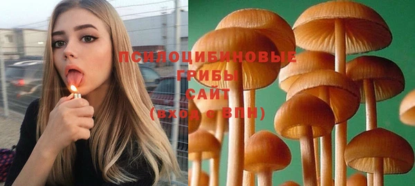 индика Надым